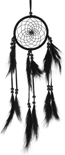 Qiterr native american dream - qiterr,