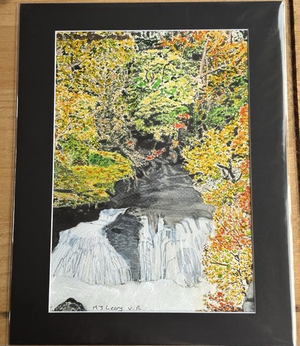 Mark leary dartmoor art - dartmoor,