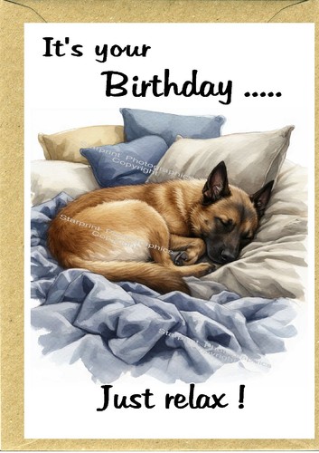 Malinois belgian shepherd - malinois,