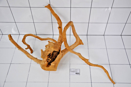 Premium aquarium natural wood - aquarium,