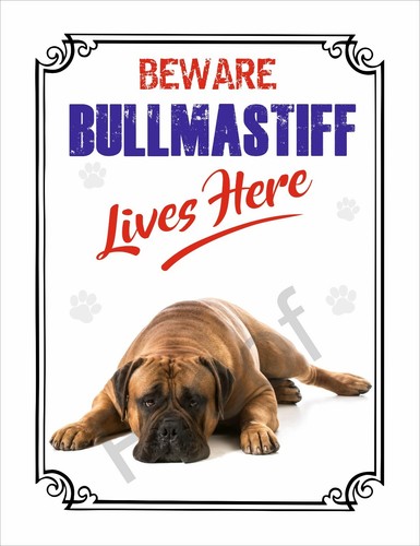 Beware bullmastiff lives - bullmastiff,