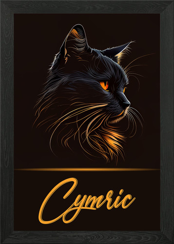 Cymric framed wall art - cymric,