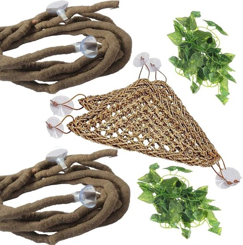 Reptile hammock vines - hammock, leaves