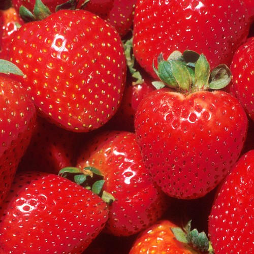 Strawberry marshmello fast - strawberry,