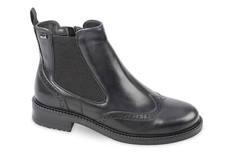 Chelsea Beatles Valleverde