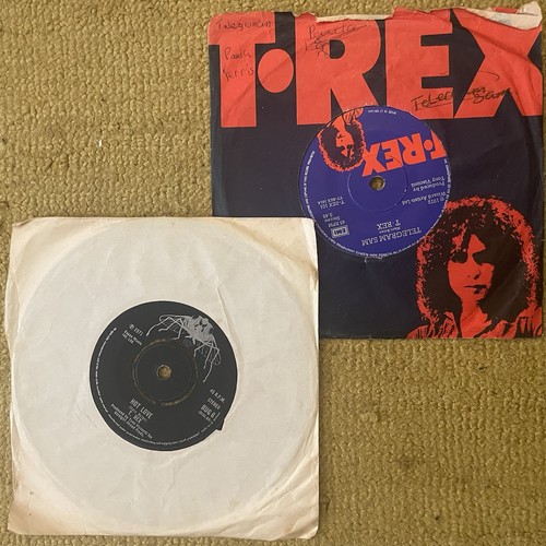 Rex telegram sam - rex,