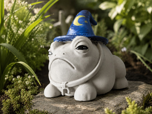 Wizard frog toad garden - frog,