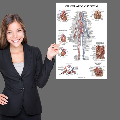 New circulatory system - uk,