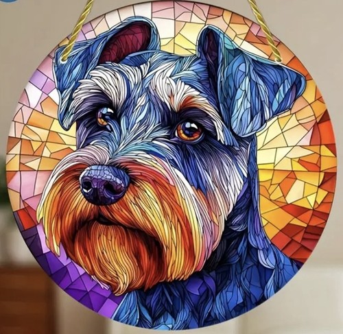 Schnauzer grey dog - dog, pet