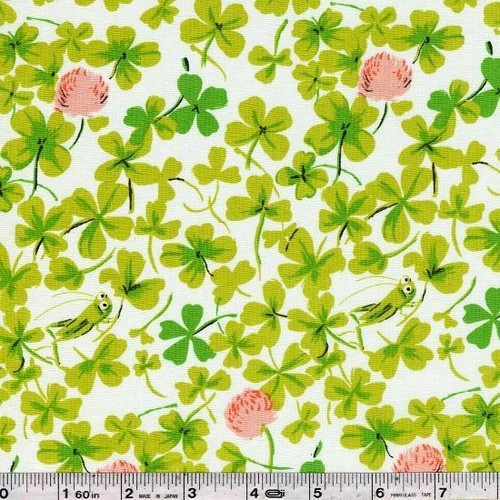 Four leaf clover katydid - katydid,