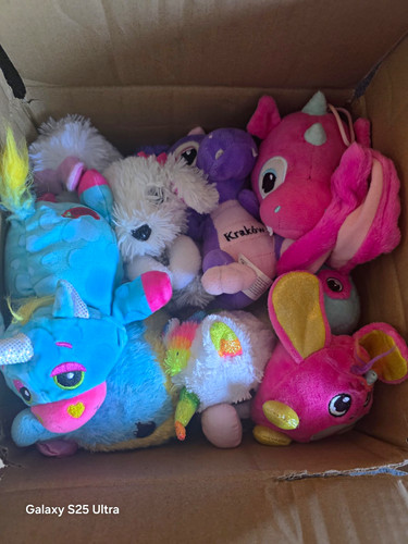Girls mystery plush - box, 9-15