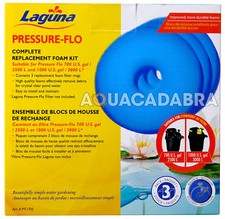 Laguna Pressure Flo 2500 3000
