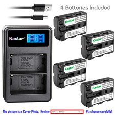 Kastar Battery LCD Dual