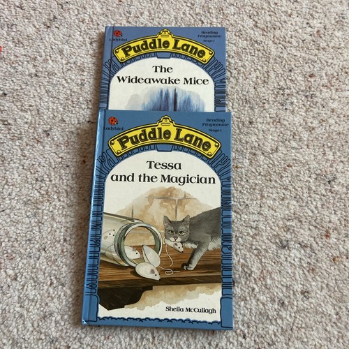 Puddle lane ladybird books - lane,