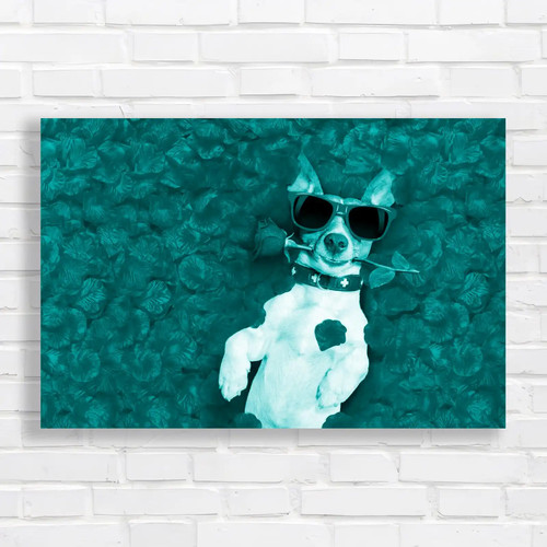Adorable jack russell dog - adorable,