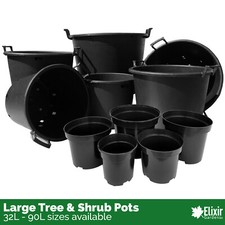 Large plant pot tree - plant, &