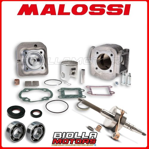 Cylinder kit shaft malossi - cylinder,