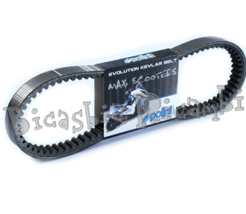 6052 belt polini - belt,