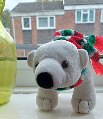 Polar bear super soft cute - polar,