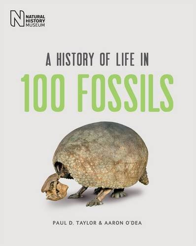 History life in - of,