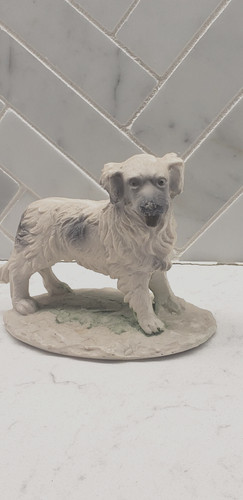 Labrador retriever lab dog - retriever,