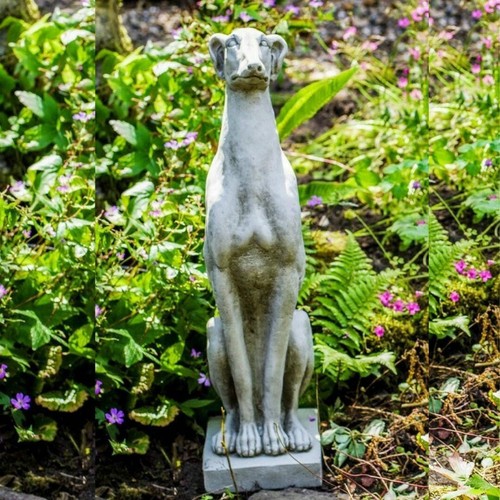 Sitting whippet solid - whippet,