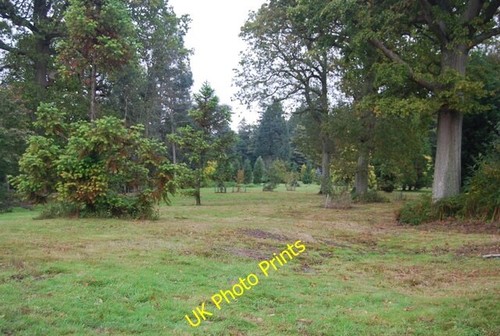 Photo 6x4 bedgebury pinetum - photo,