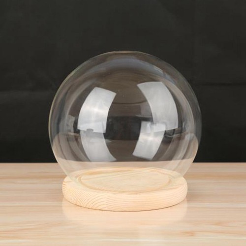 Display dome with base clear - display,