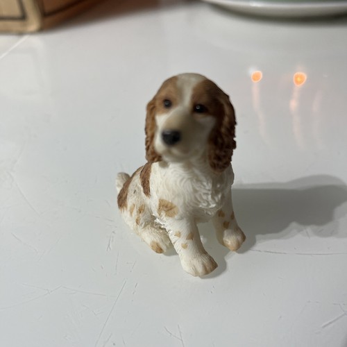 Cocker spaniel puppy tan - puppy,