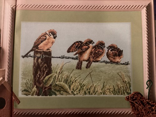 Sparrow birds wire - sparrow, on