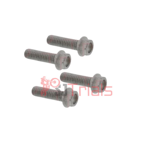 Special trials bike rear brake - special,