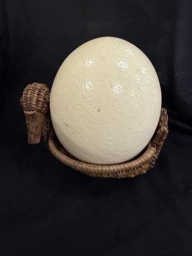 Vintage ostrich egg - vintage, duck