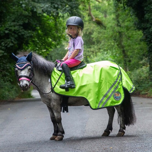 Gallop ponie retro - ponie, reflective