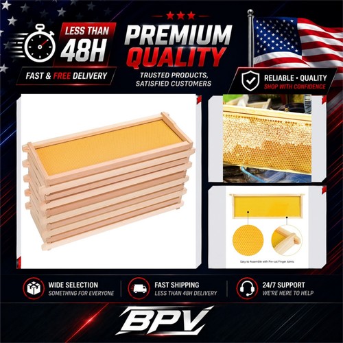 Bee hive frames pack medium - bee,