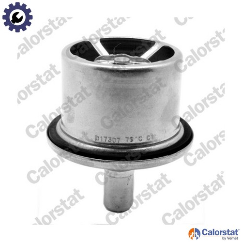 Thermostat coolant ths19099 - thermostat,