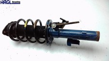 Strut With Shock Absorber