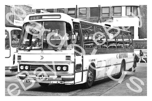 Bus photograph midland red nbc - photograph,