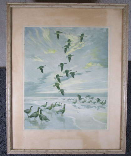 Lovely vintage early peter - early,