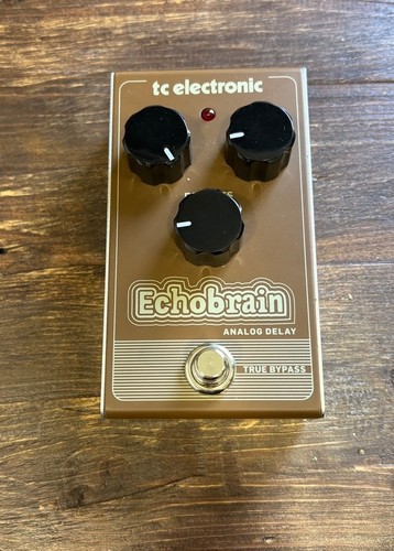 Electronic echobrain analog - echobrain,