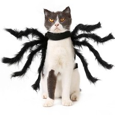 Halloween Pet Black Spider