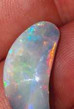 Australian Opal Fossil Doublet