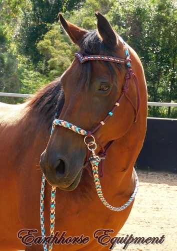 Earthhorse equipment brow - earthhorse,