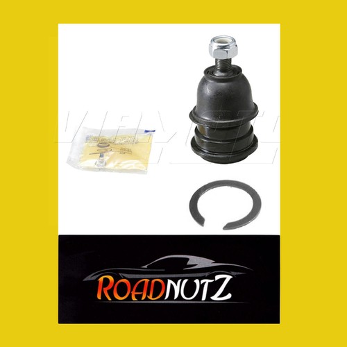 Roadnutz front lower - roadnutz,