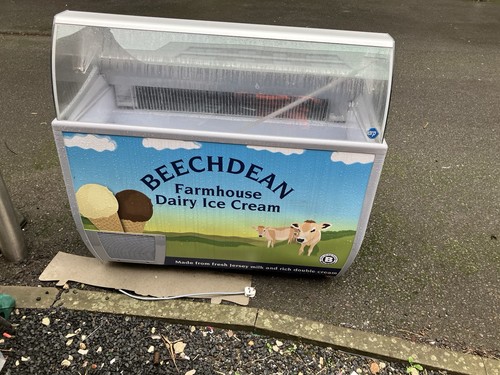 Beechdean ice cream display - ice,