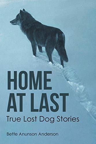 Home last true lost - dog, st