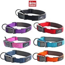 Miro Makauri Padded Nylon Dog