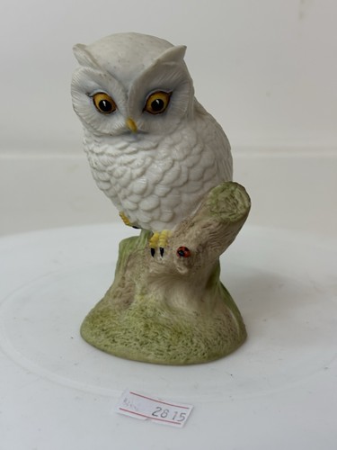 Aynsley baby owl - owl, ornament