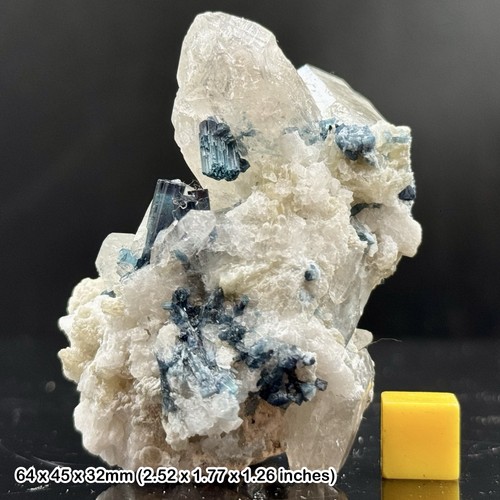 Very rare blue - very,