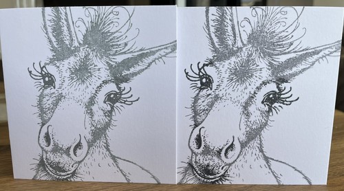 Donkey note cards - donkey,