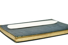 8" Genuine Bone Card Creaser /